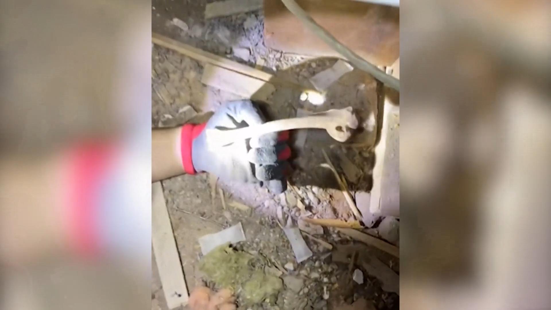 Spukt es hier? Paar findet Knochen bei Renovierung Haus ist 150 Jahre alt