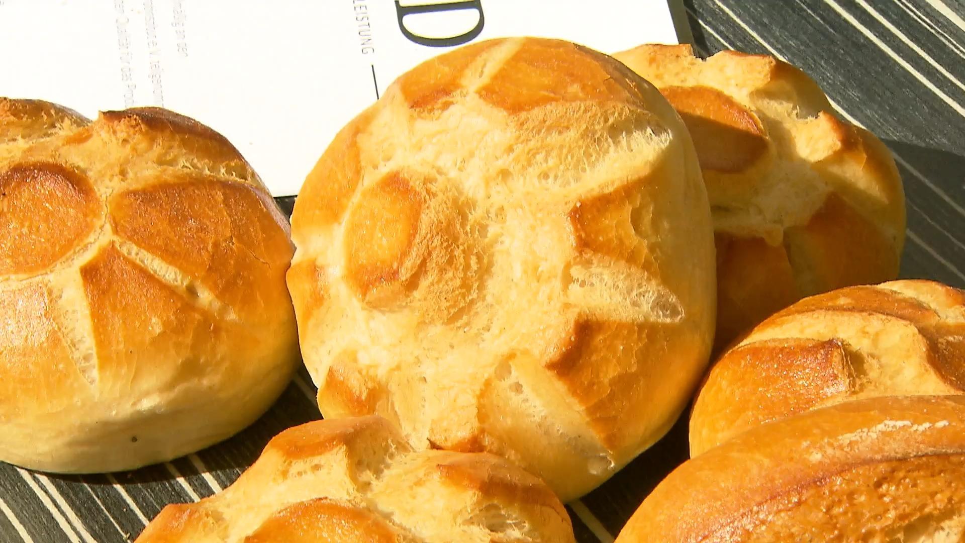 Brote und Brötchen unter der Lupe Prüfung