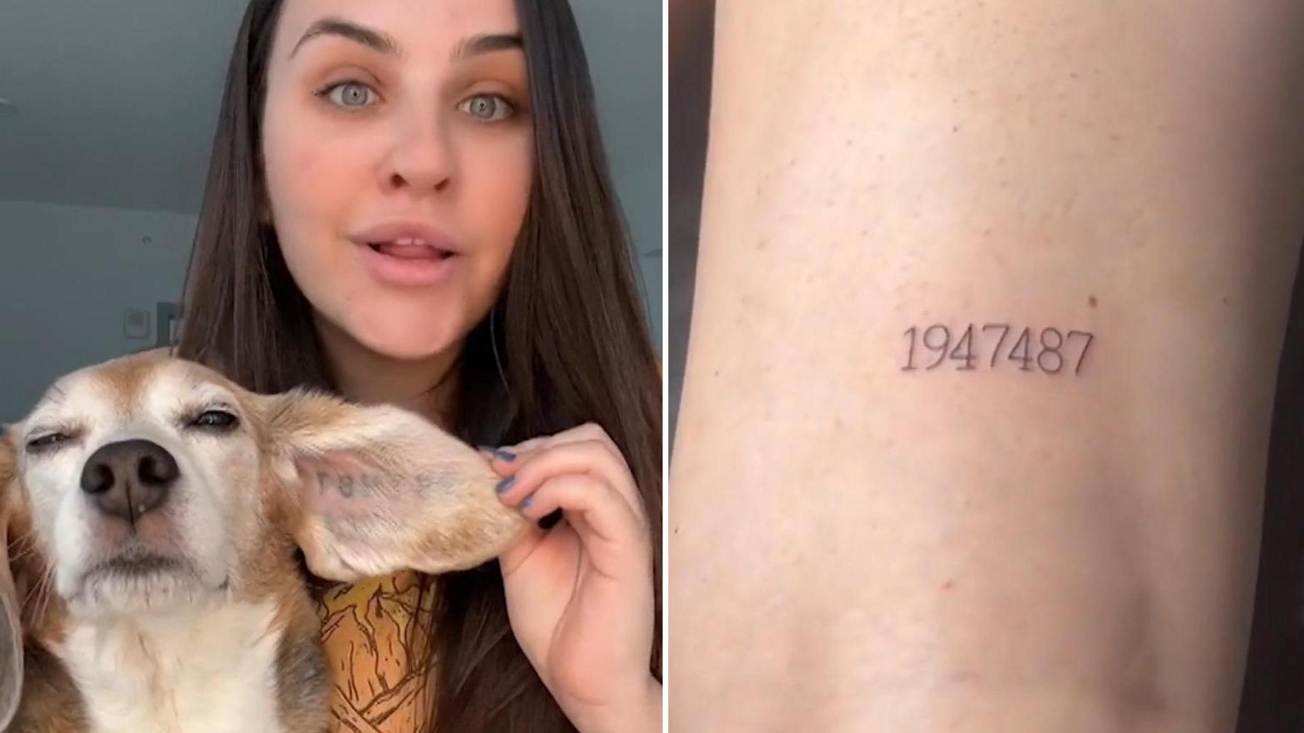 Por amor: una mujer se tatúa a su pareja con un perro que se salvó de la experimentación con animales