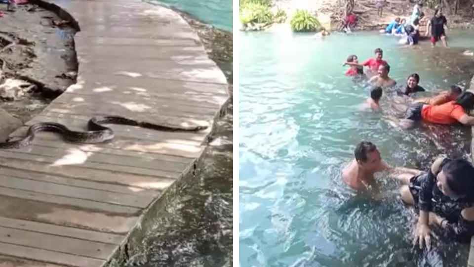 Schlangenalarm in Krabi! Touristen fliehen aus dem Pool Schockmoment in Thailand