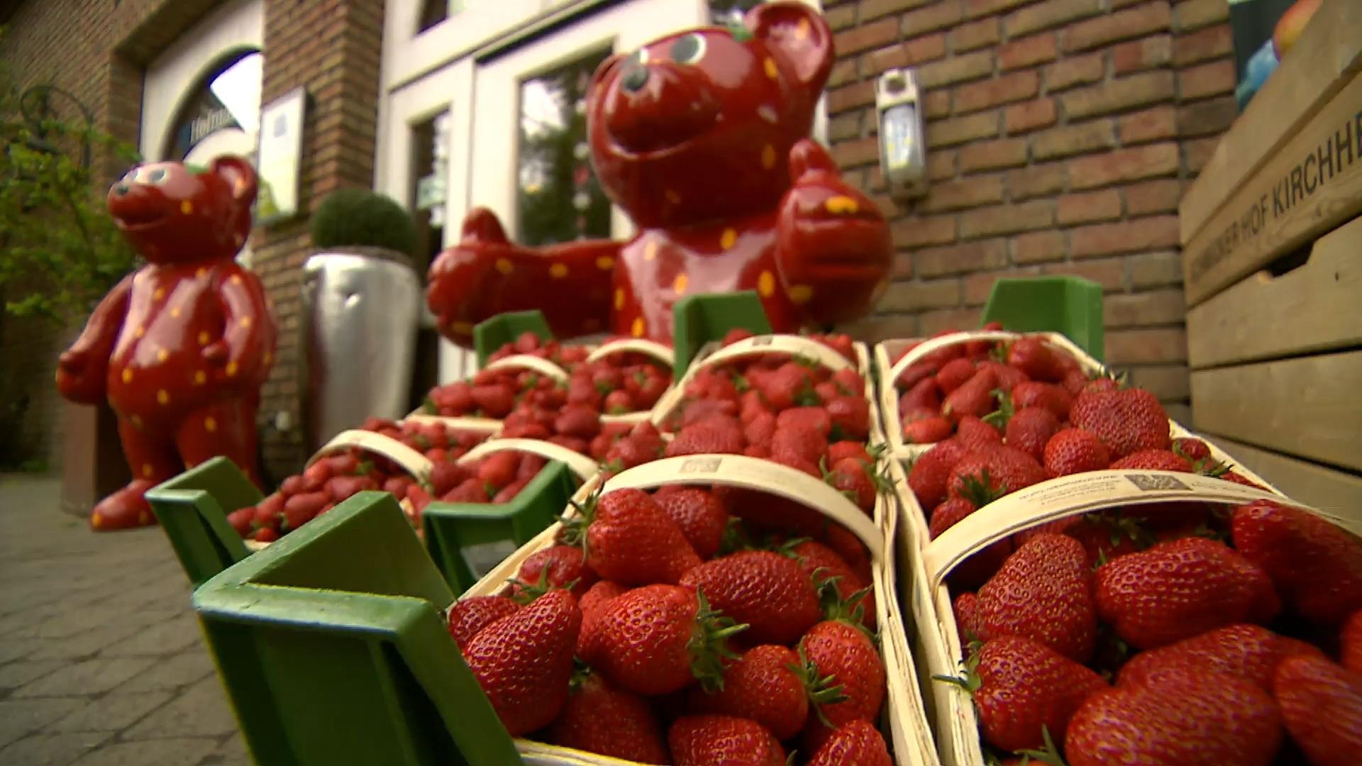 Start in die Saison mit Ministerin Erdbeeren