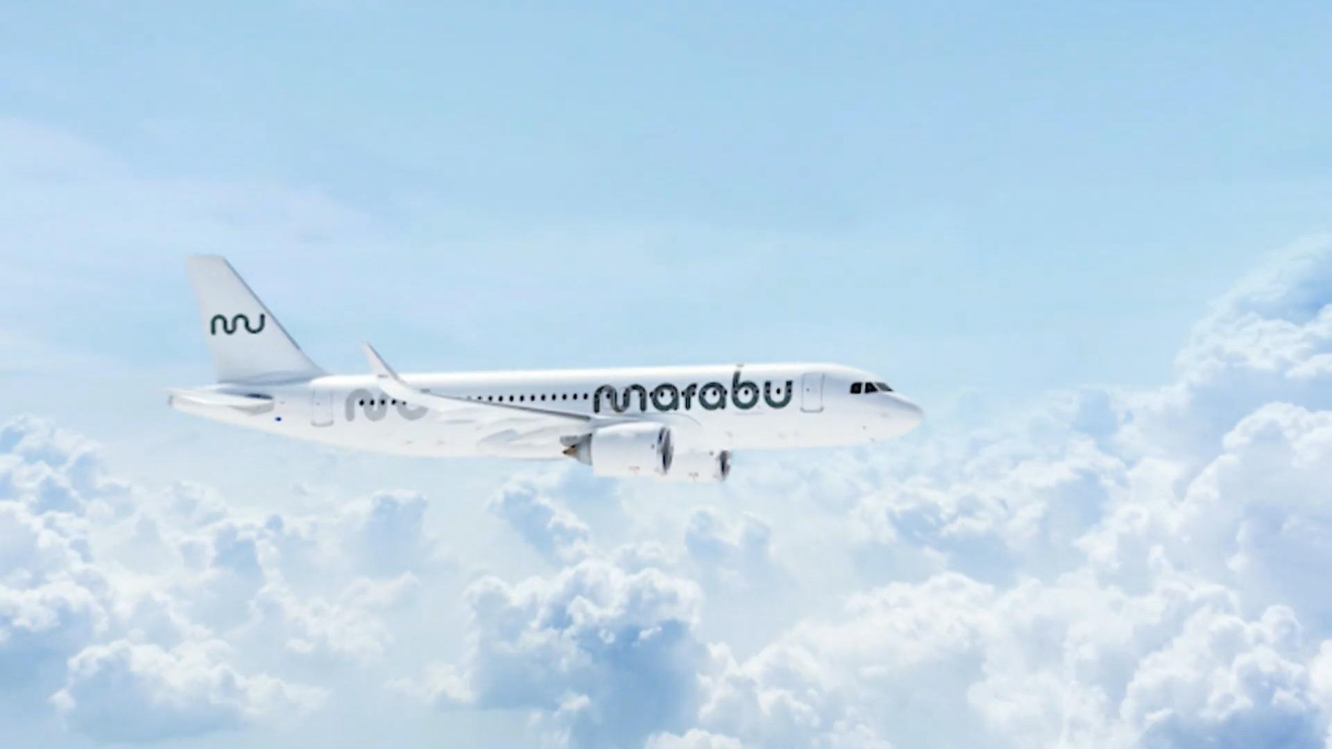 Marabu lässt Mallorca-Urlauber sitzen Gestrandet am Flughafen