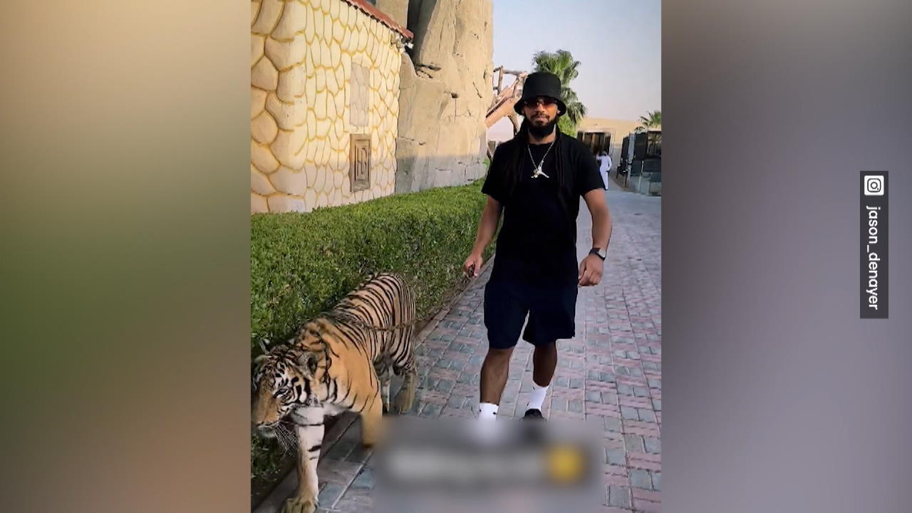 Fußballer Jason Denayer lässt den Tiger los Nun droht ihm eine Strafe!