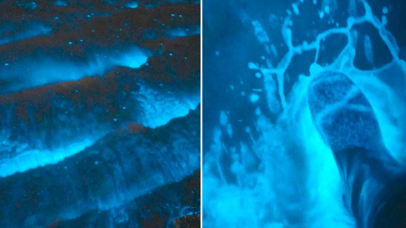 Mann geht durch leuchtendes Glitzer-Meer Spektakuläre Aufnahmen!