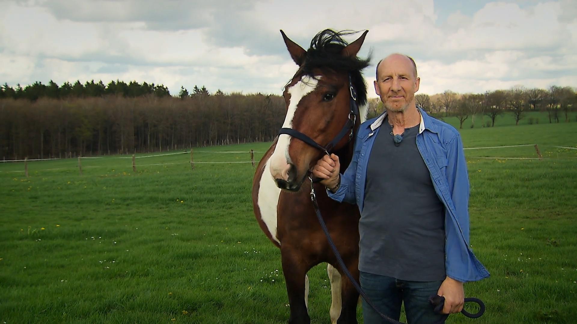 Właściciel konia Hans jest gotowy na nową miłość "Rolnik szuka żony"-kandydat