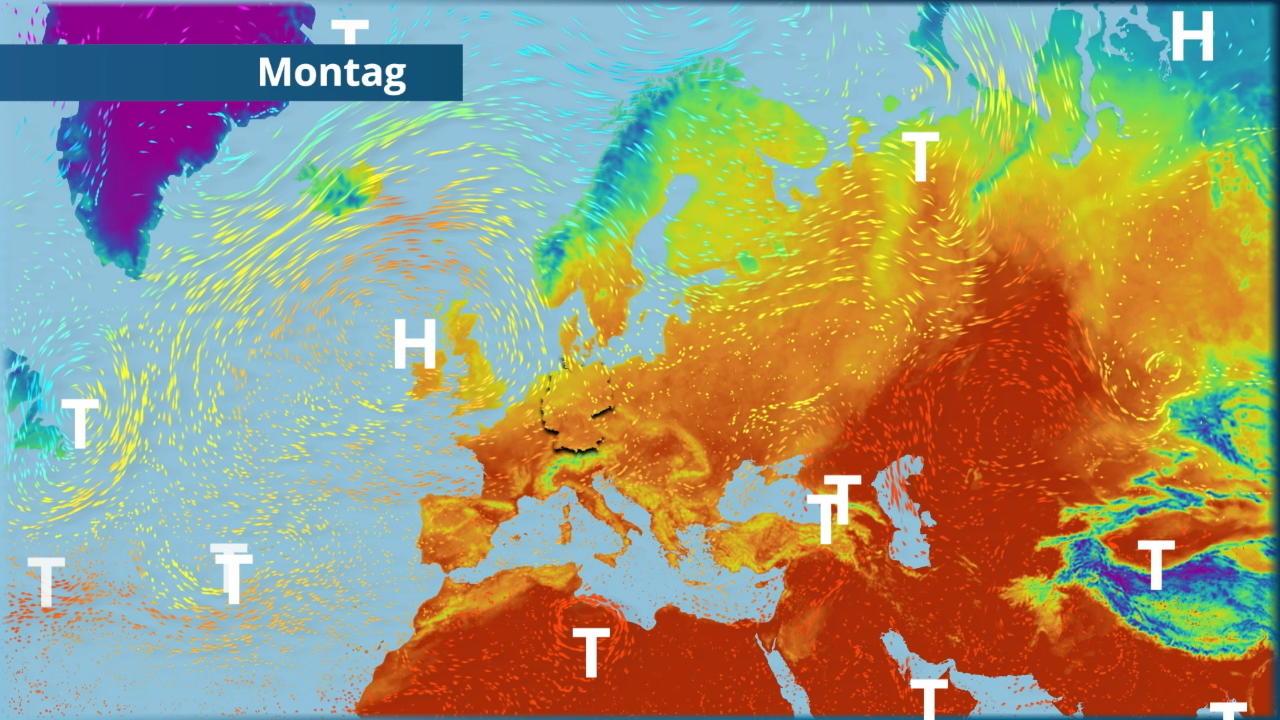 Der Strömungsfilm für Europa für 5 Tage Hoch Vera nistet sich richtig ein bei uns