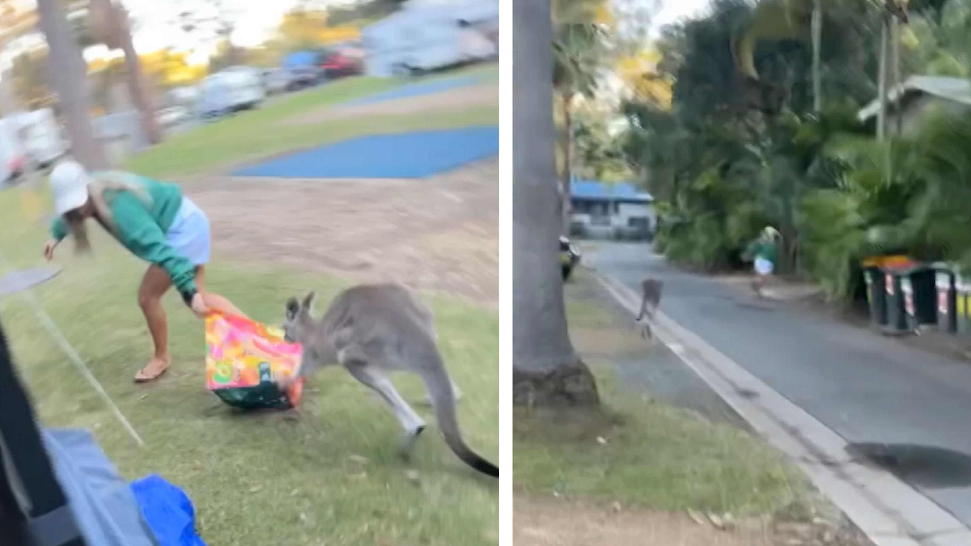Skippy will doch nur Muffins! Känguru jagt Frau über Platz Beim Essen hört der Spaß bei ihm auf
