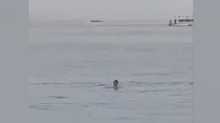 Morte nel paradiso delle vacanze: un uomo muore in un attacco di squalo in mare!  Lotta disperata a Hurghada