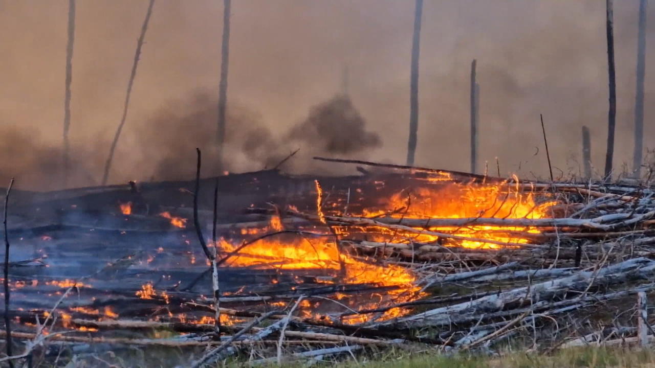 Dorf evakuiert, Detonationen auf Militärgelände Waldbrände in Mecklenburg-Vorpommern