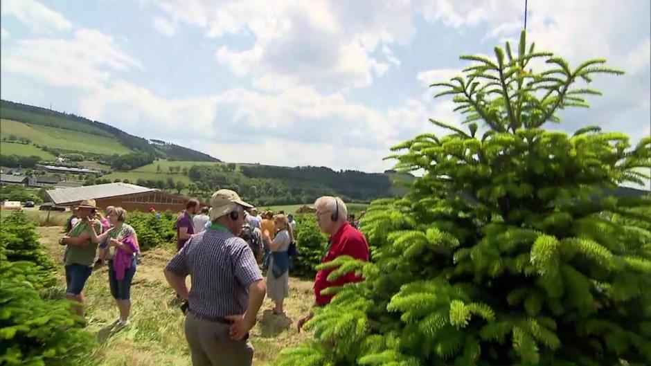 WeihnachtsbaumFachtagung in Meschede und das mitten im Sommer