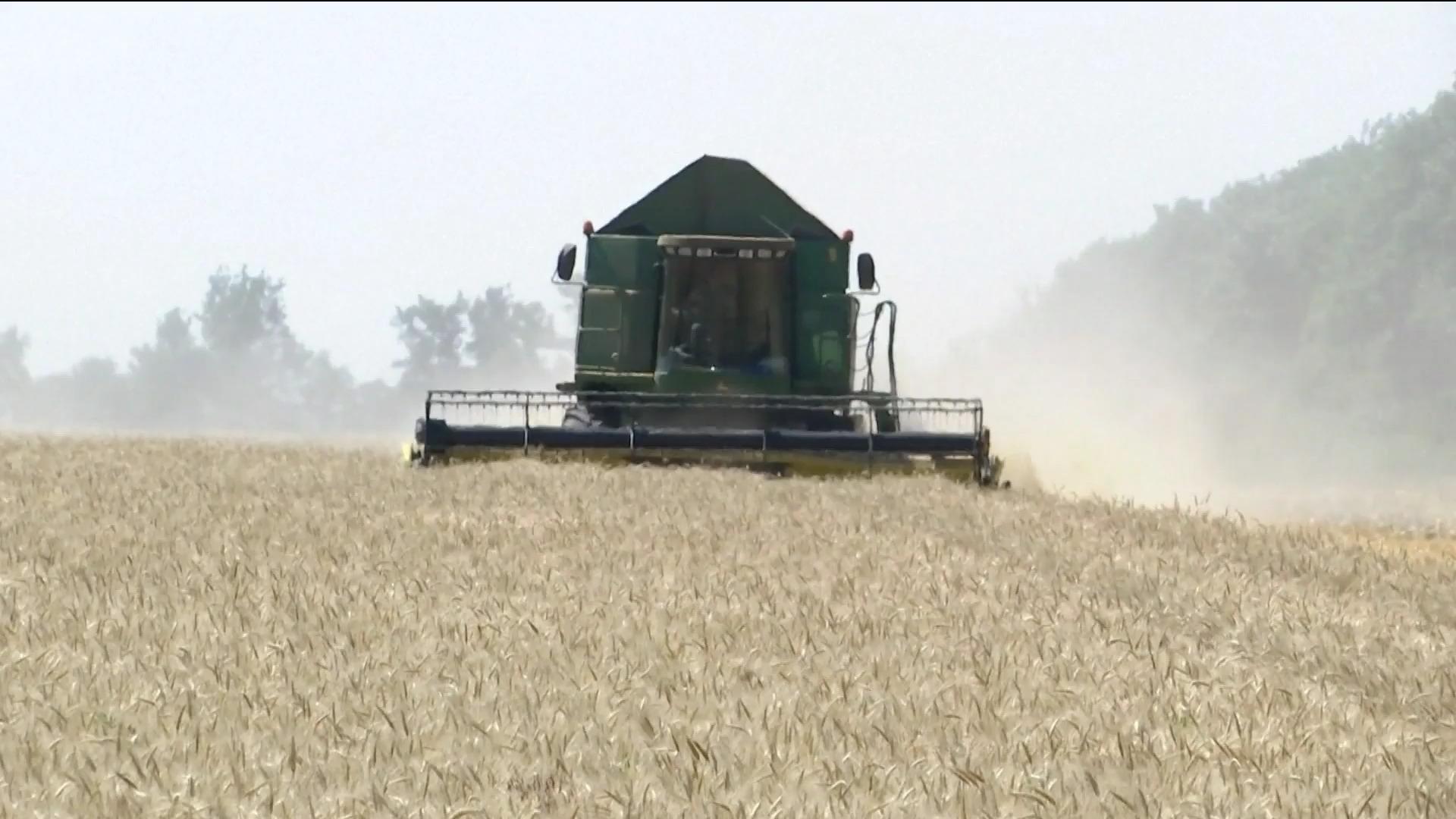 Russia stops grain deal Millions of people depend on grain