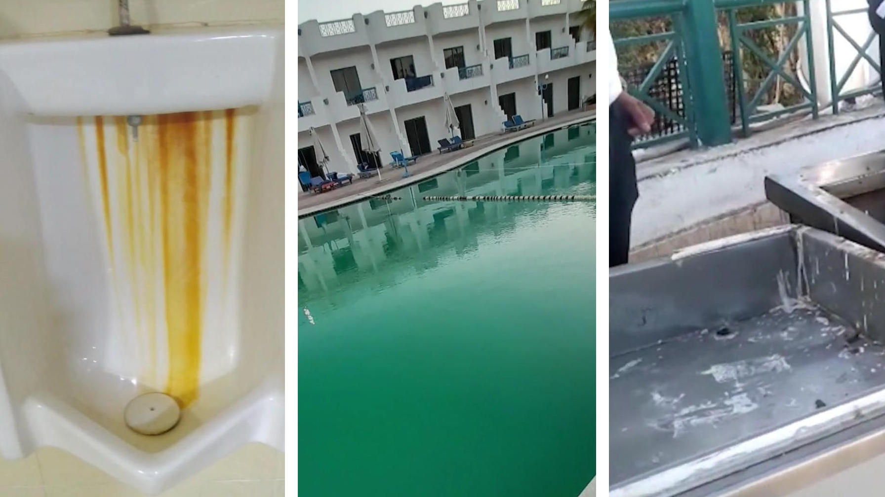 Plötzlich liegen hunderte Penisse am Strand Skurrile Fische aus der Tiefsee in Argentinien