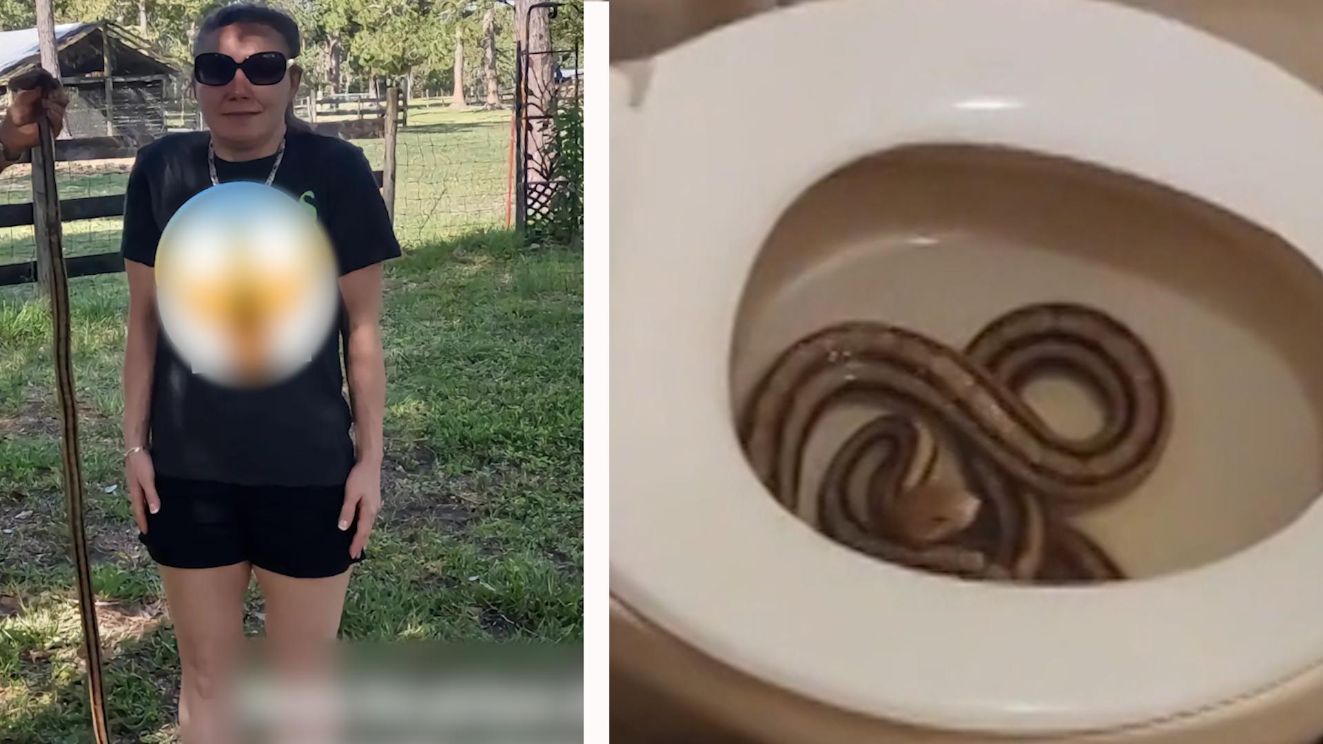 Frau entdeckt Schlange nachdem sie auf Toilette war Sie pinkelt auf das XXL-Reptil!