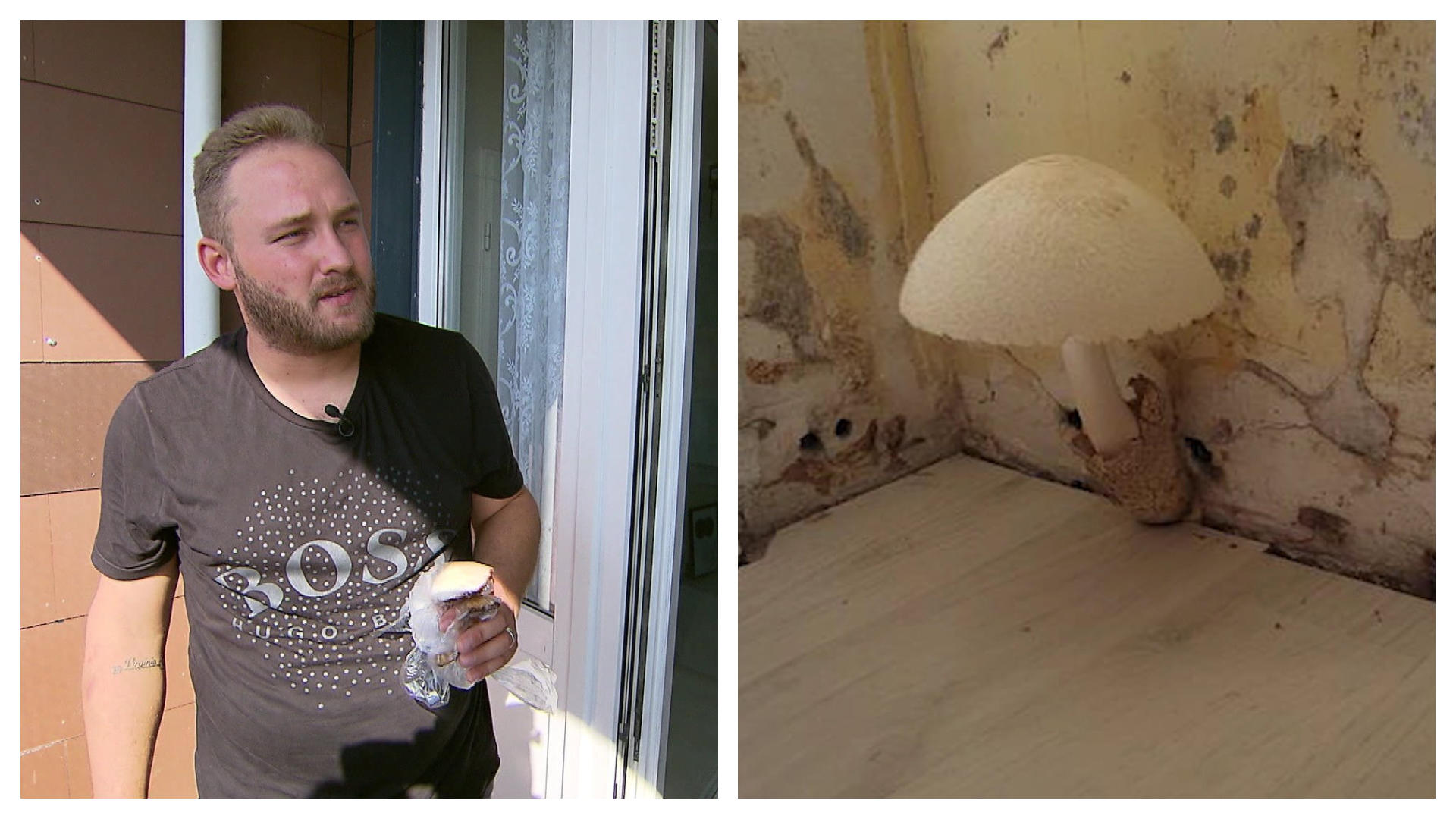 Keluarga itu datang dari liburan - dan mereka menderita jamur di apartemen yang sangat pengap di Cologne