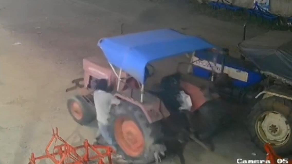 Mann will Traktor klauen - der walzt ihn nieder Knochen aus Gummi?