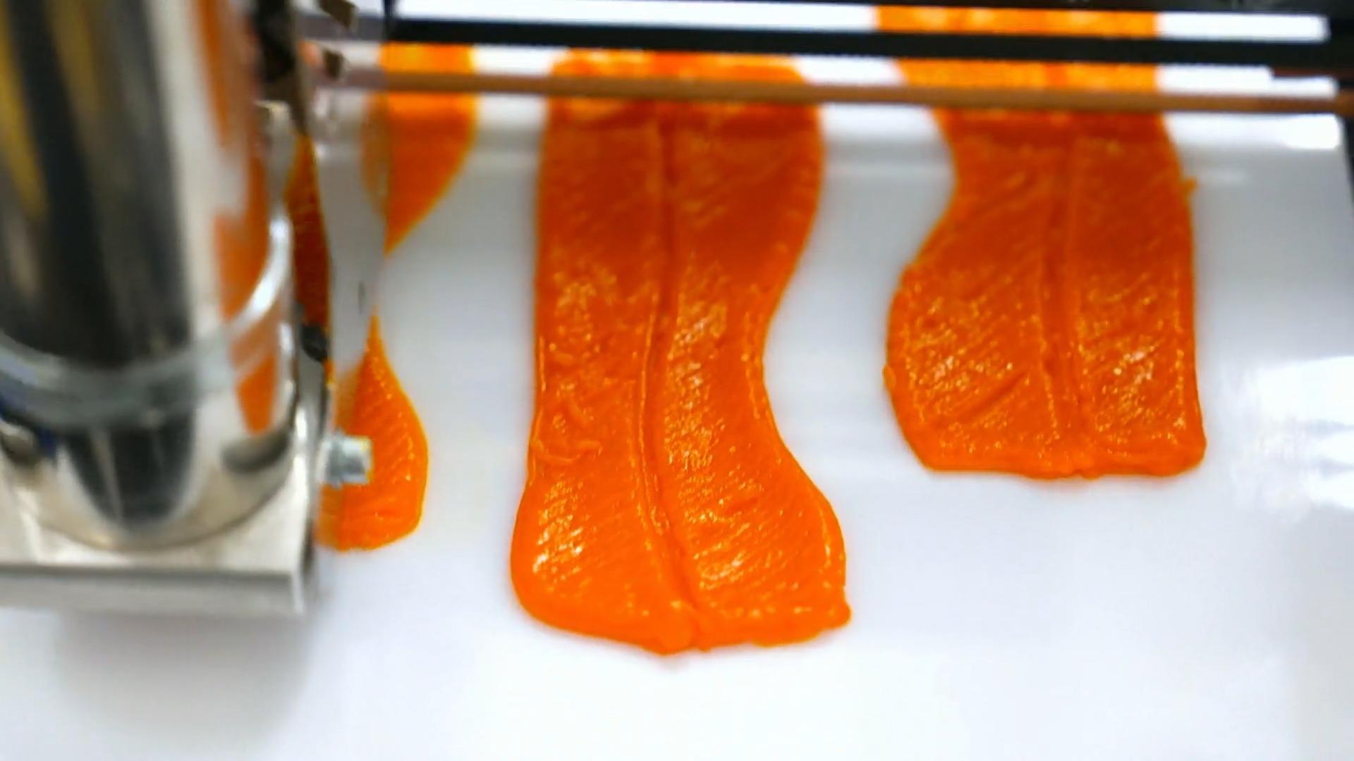 Der 3D-gedruckte Lachs der Zukunft Nachhaltiger Fisch-Genuss