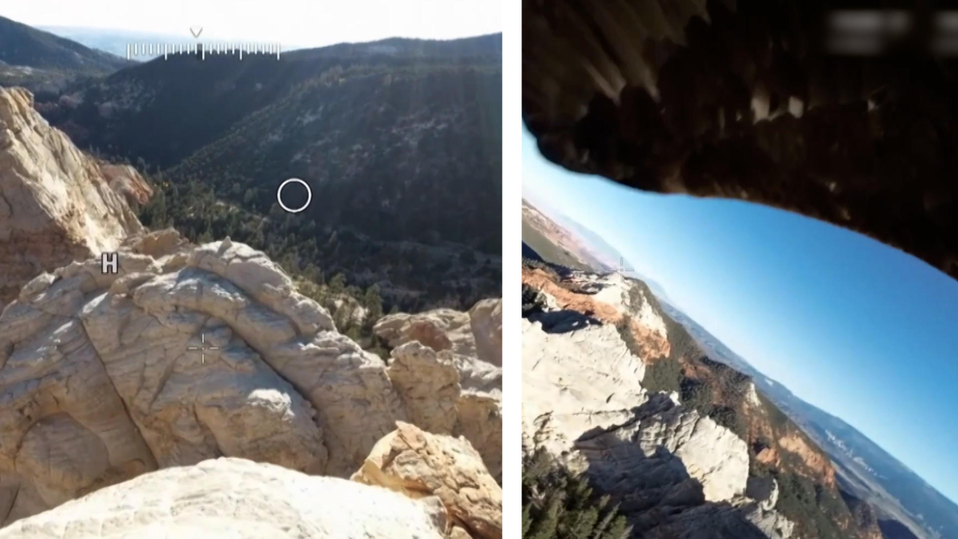 Up in the air!  A bird of prey grabs a drone for an amazing sightseeing flight