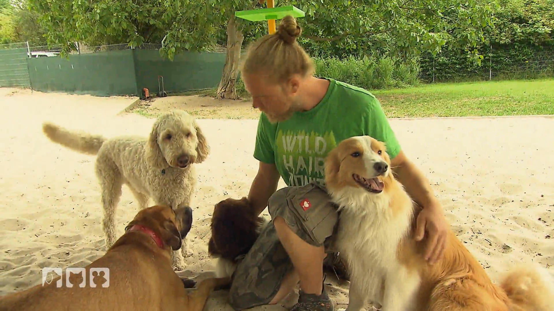 Freiheit, Blickkontakt und Dramatische Ereignisse Bei hundkatzemaus