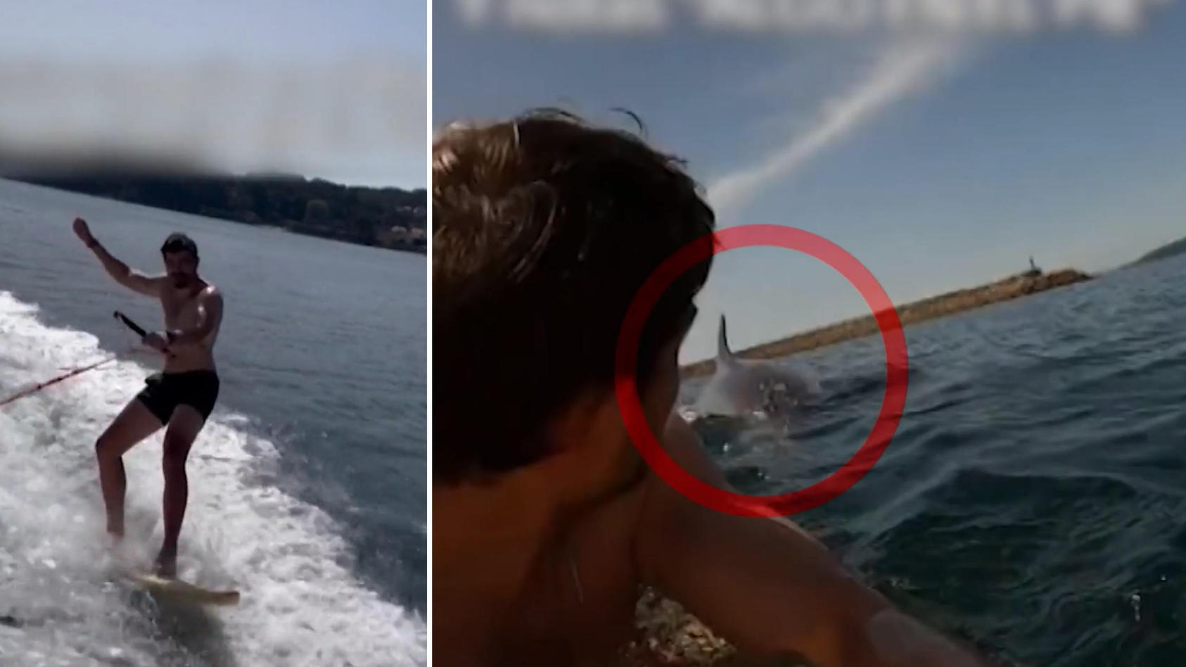 Wake-Boarder hat Todesangst - dann kommt die Überraschung Hai-Alarm?!