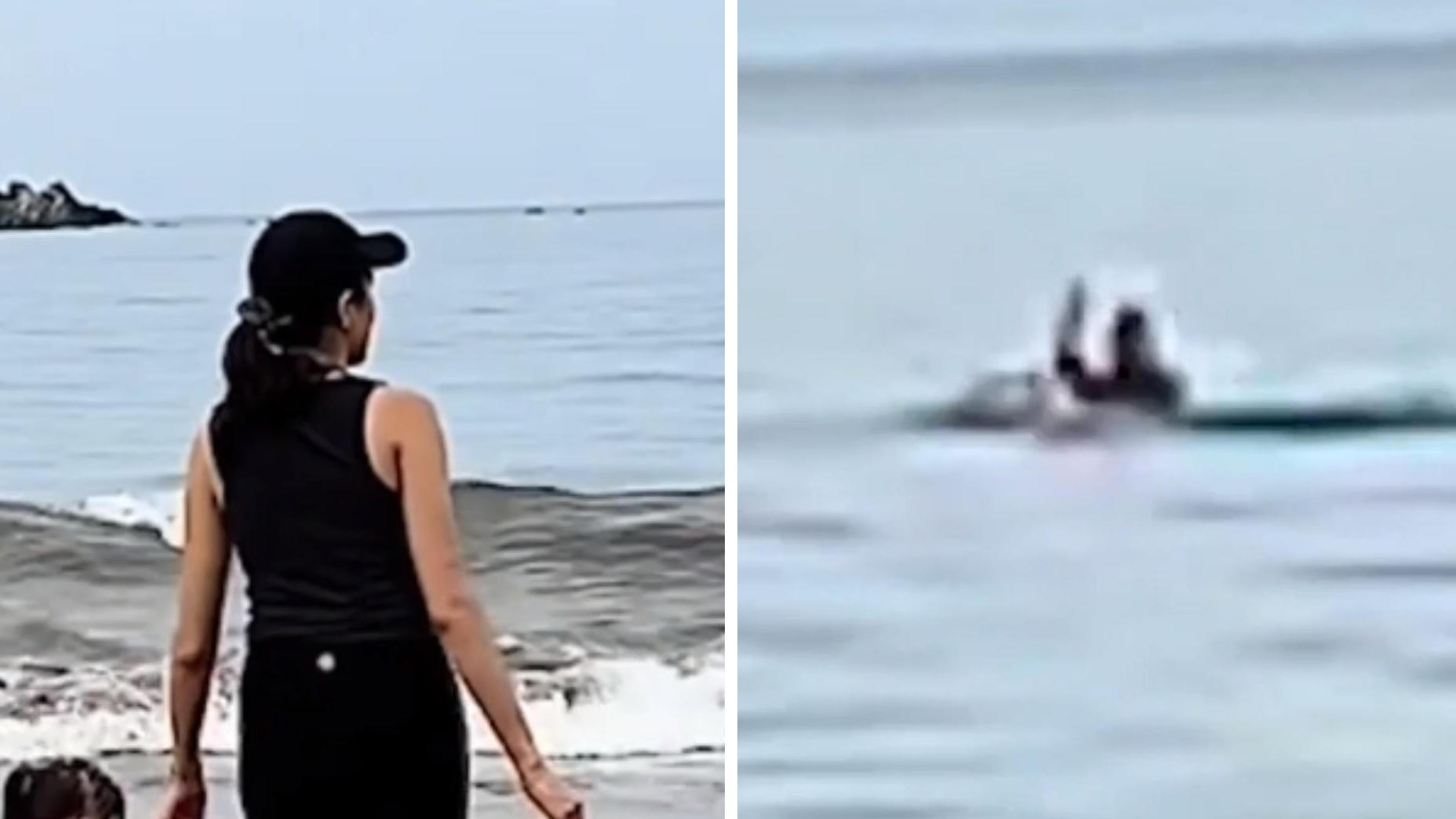¿Tiburón o cocodrilo?  Un hombre muere mordido en la playa y unos turistas están filmando todo el asunto.