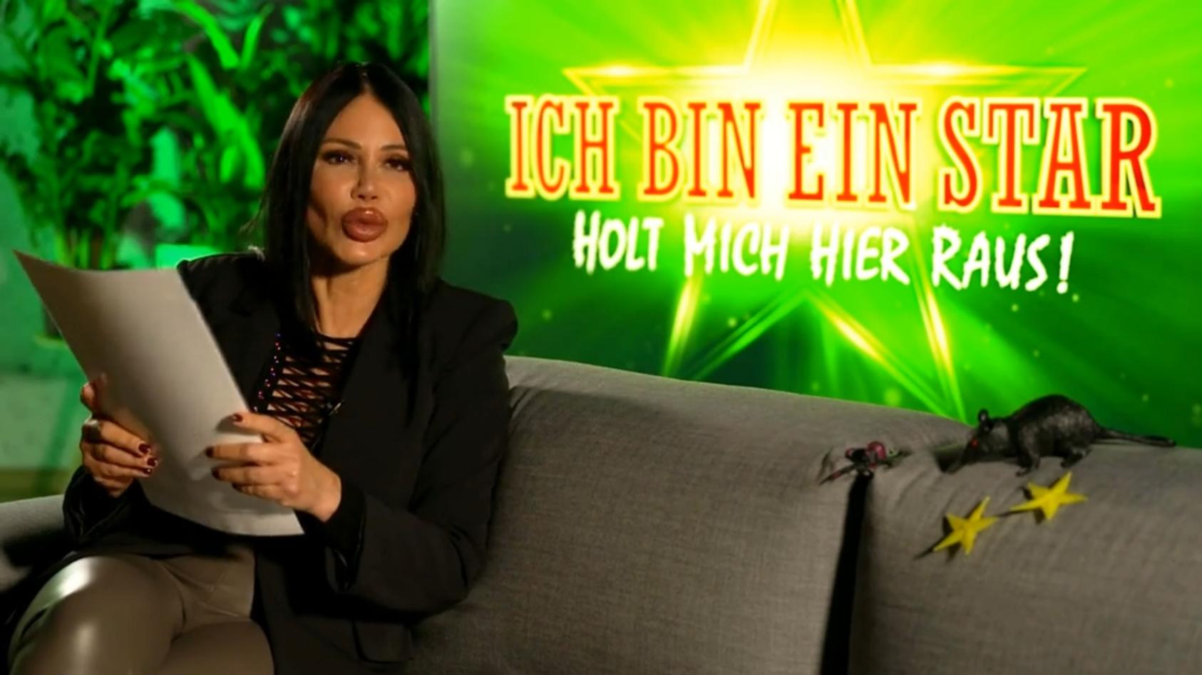 Dschungelcamp 2024 Kandidaten Check der Königin! Wem Djamila Rowe die