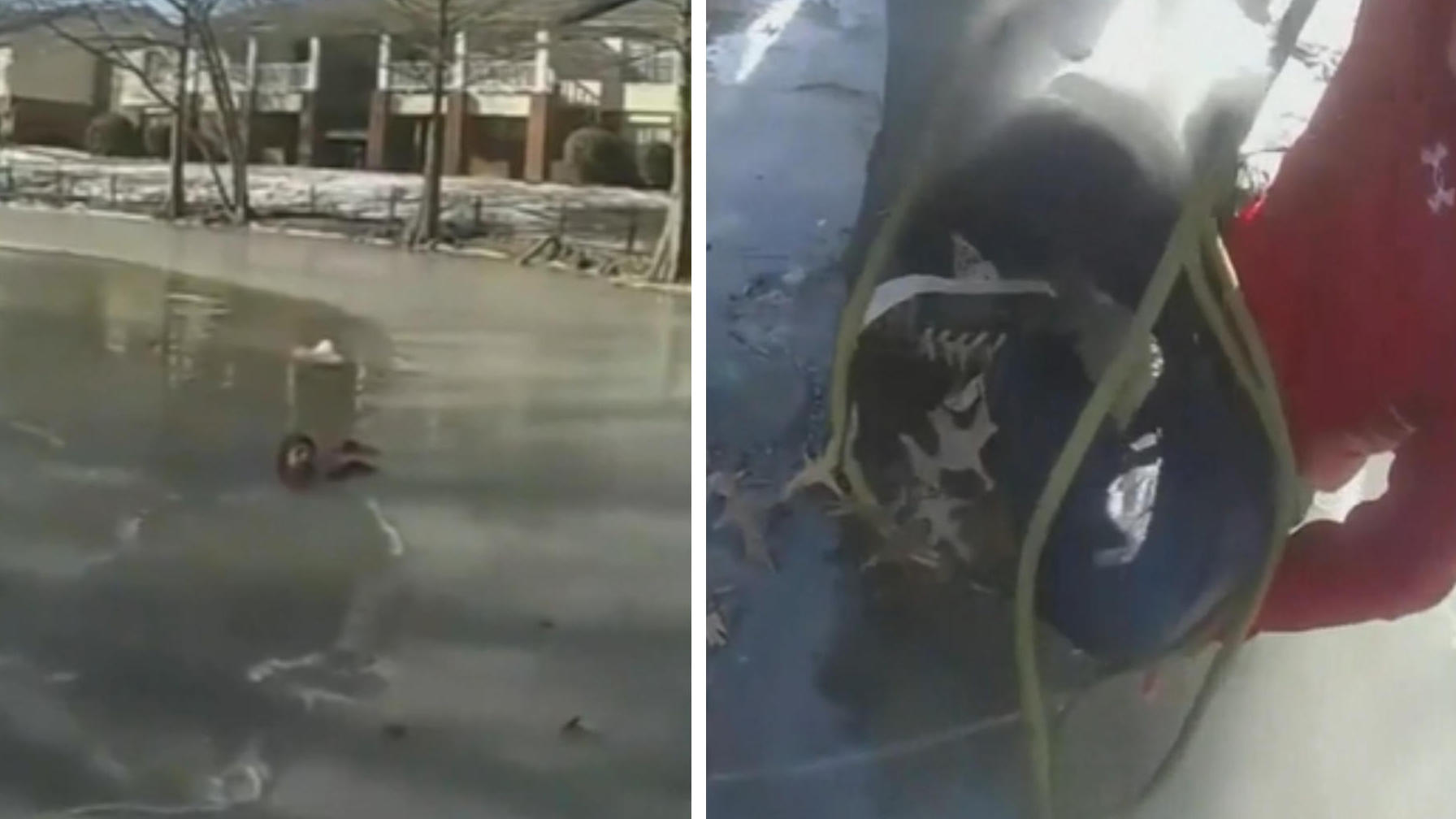 ¡Un oficial de policía salva a un niño de una muerte fría atrapado en una piscina helada!