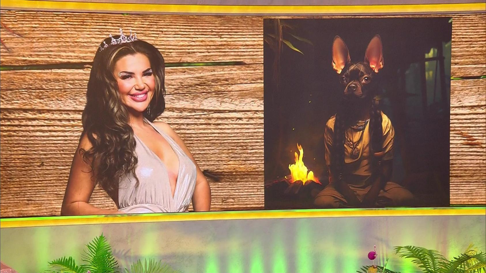  Foto zu Dschungelcamp 2024: SO würden die Kandidaten als Hunde aussehen 