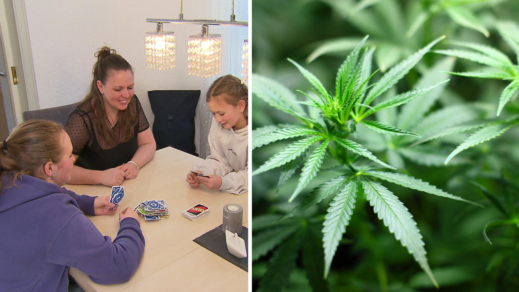 Cannabisbesitz wird legal - Mutter hofft auf Aufklärung! Neues Gesetz kommt im April