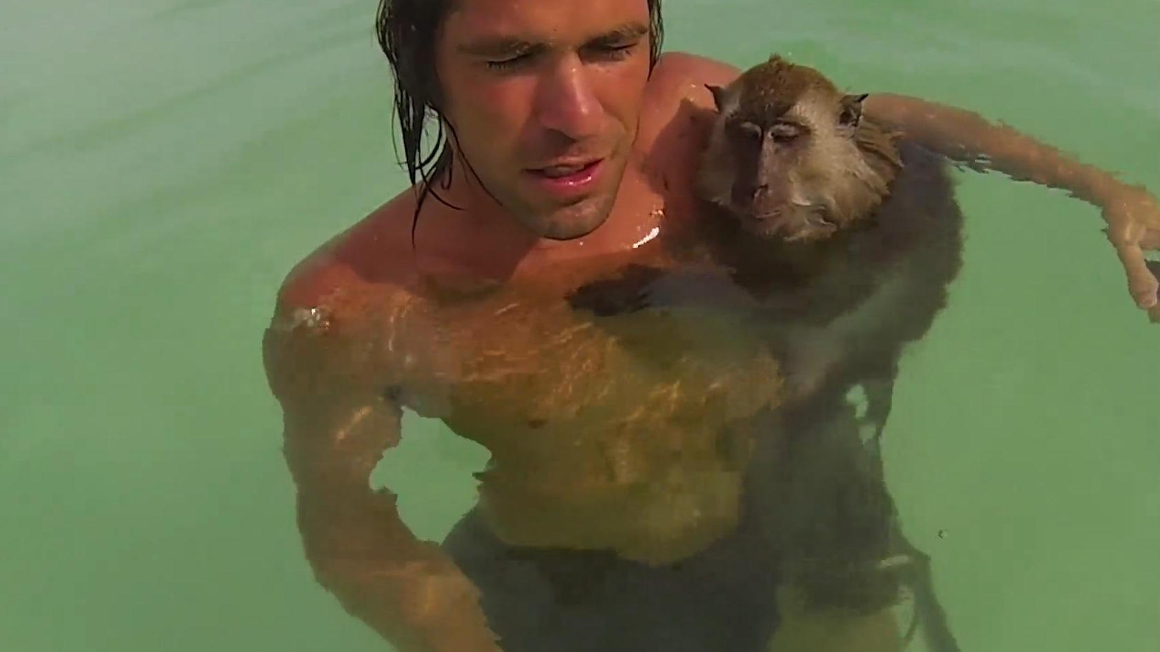 Diese tierische Freundschaft geht baden Affe und Taucher unzertrennlich
