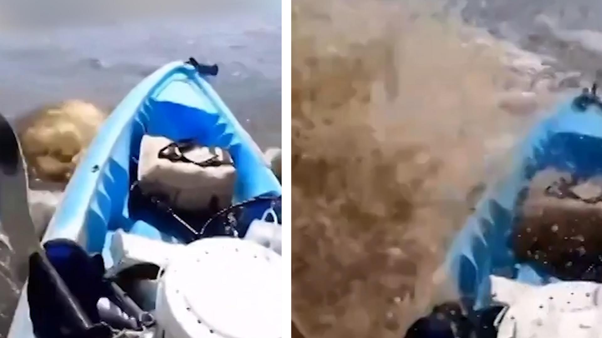 The kayaker experiences a huge shock while paddling and is suddenly surrounded!