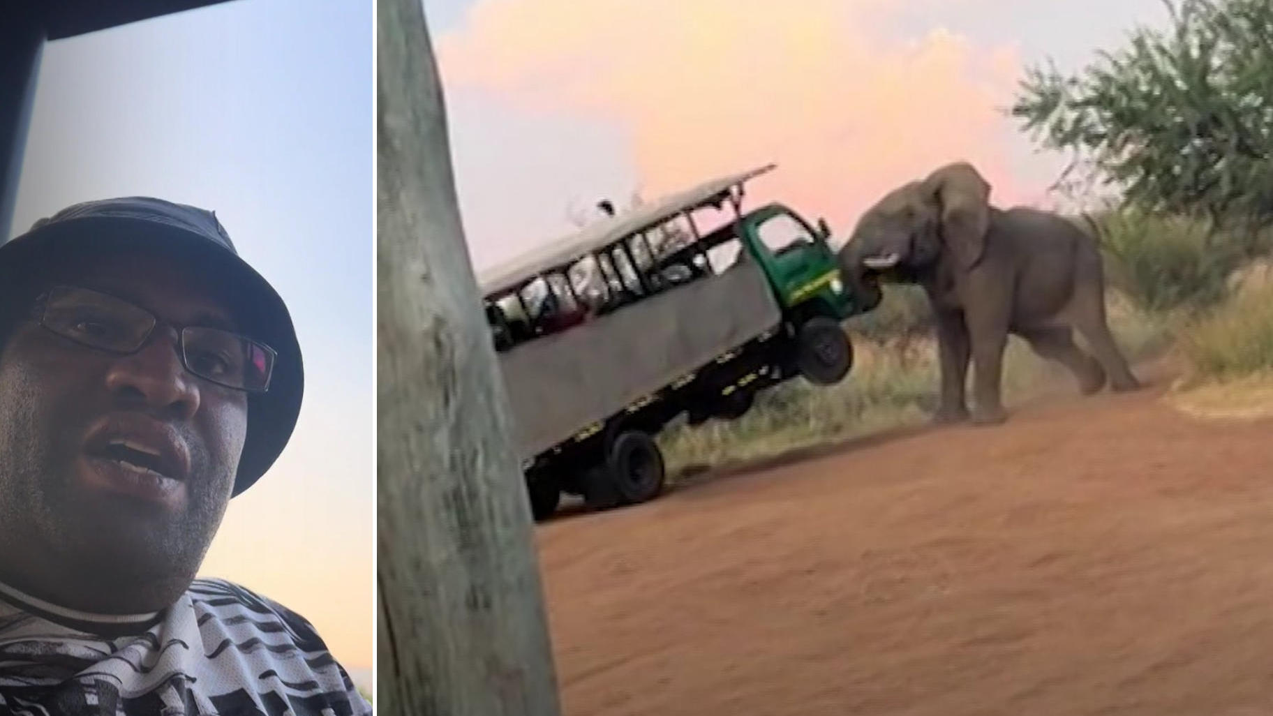 Aggro-Elefant legt sich mit Touribus an Während der Pipi-Pause
